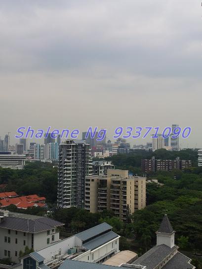 Trilight (D11), Condominium #62706262